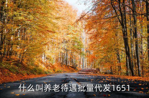 什么叫代發(fā)養(yǎng)老金，養(yǎng)老金代發(fā)機(jī)構(gòu)是指什么