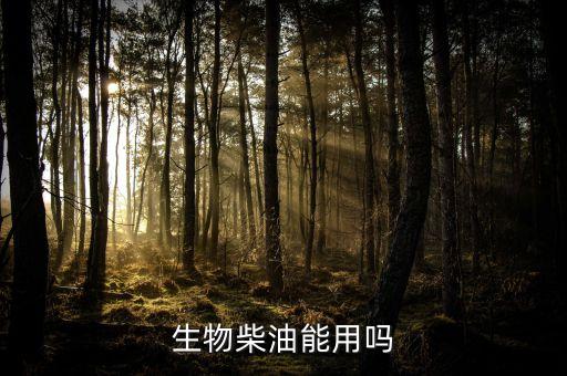 巴西總統(tǒng)坐什么車，卡卡的個(gè)人簡(jiǎn)介