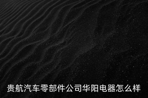貴航集團(tuán)華陽電工廠是什么企業(yè)，貴航汽車零部件公司華陽電器怎么樣