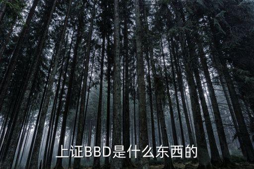 bbd凈差是什么意思，上證BBD是什么東西的