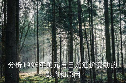 分析1995年美元與日元匯價(jià)變動的影響和原因