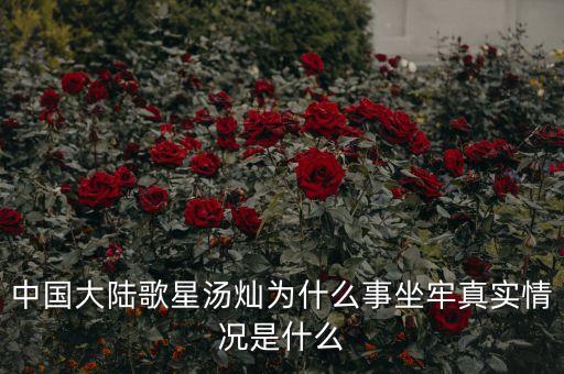 湯燦為什么要當(dāng)情婦，誰知道湯燦怎么了