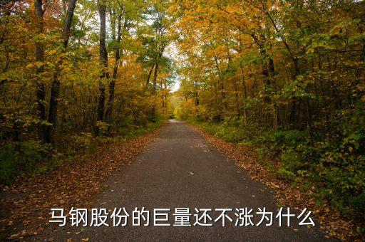 馬鋼集團為什么還不倒，馬鋼集團為什么沒排在世界500強中