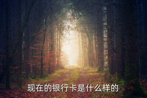 首都銀行卡長什么樣，銀行卡賬號長什么樣