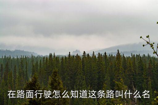 什么叫路條，什么叫做條條道路通羅馬