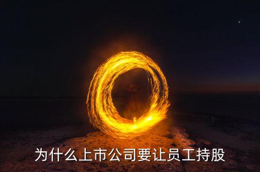 公司強(qiáng)迫員工入股的動(dòng)機(jī)是什么，4個(gè)人的公司要求員工入股是什么目的