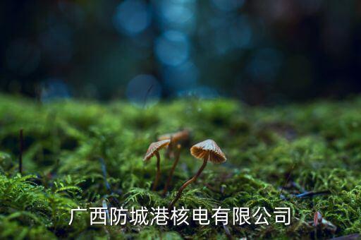 防城港核電站什么時(shí)候發(fā)電，請(qǐng)問防城港核電廠什么時(shí)候建成并投入使用