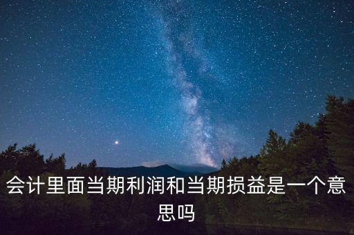當(dāng)期利潤是指什么意思，當(dāng)期利潤當(dāng)期應(yīng)付利息等等中的當(dāng)期是什么含義