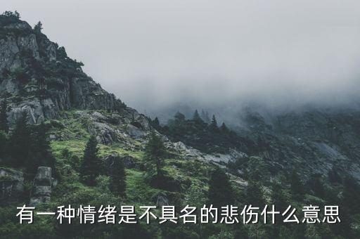 不愿具名是什么意思，有一種情緒是不具名的悲傷什么意思