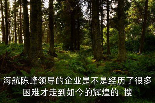 海航集團(tuán)陳峰有什么背景，海航集團(tuán)陳峰怎樣回憶艱難創(chuàng)業(yè)史的呢