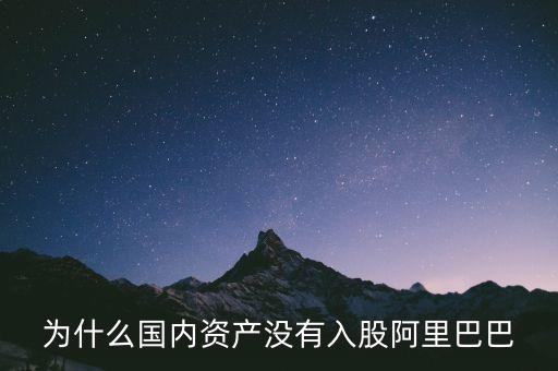 什么國家沒有阿里，為什么國內(nèi)資產(chǎn)沒有入股阿里巴巴