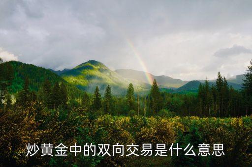 貴金屬雙向交易什么意思，貴金屬雙向交易是什么意思