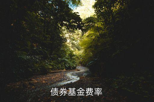 債券基金費(fèi)率什么意思，債券基金費(fèi)率