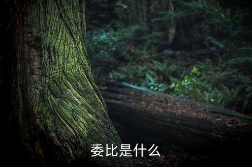 什么是委比指標(biāo)，股票里面的委比是什么意思