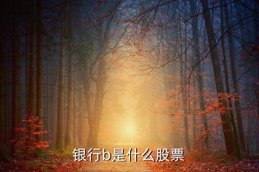 新能車b是什么股，新能車b是b股嗎會比a股風險大嗎