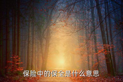 中國(guó)數(shù)據(jù)保全的意義是什么，保險(xiǎn)中的保全是什么意思