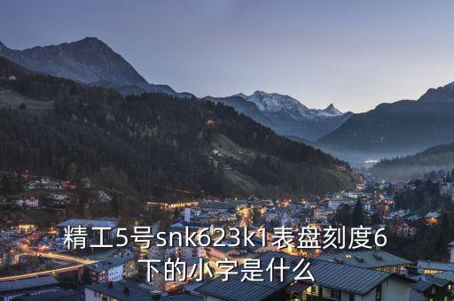 精工表中小表什么，精工手表4個(gè)小表盤是干甚么的
