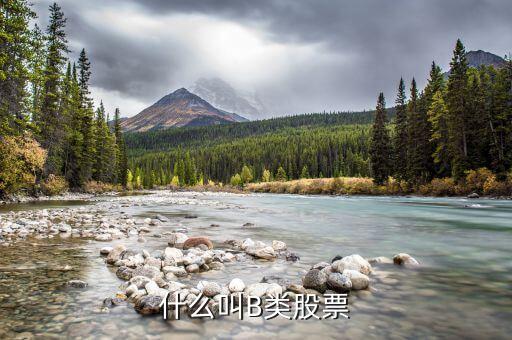 分級(jí)股b什么意思，分級(jí)基金b和b股一樣嗎
