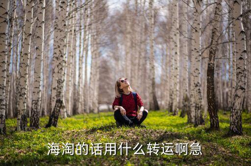 惠惠海淘用的什么轉(zhuǎn)運，海淘的話用什么轉(zhuǎn)運啊急