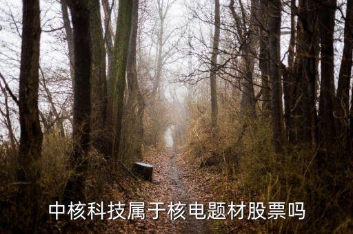 中核科技是什么板塊，中核科技屬于核電題材股票嗎
