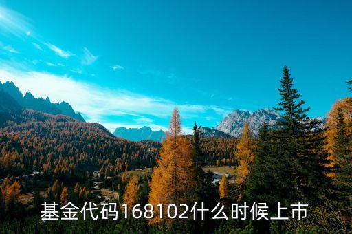 168101基金什么時候上市，基金代碼168102什么時候上巿