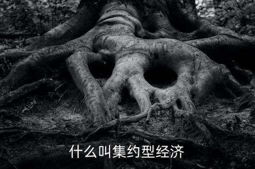 什么叫產(chǎn)融結(jié)合，什么叫集約型經(jīng)濟(jì)