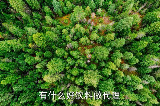 現(xiàn)在有沒有什么好的飲料找經(jīng)銷商，有什么好飲料做代理