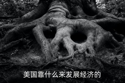 美國經(jīng)濟(jì)靠什么，美國靠什么來發(fā)展經(jīng)濟(jì)的