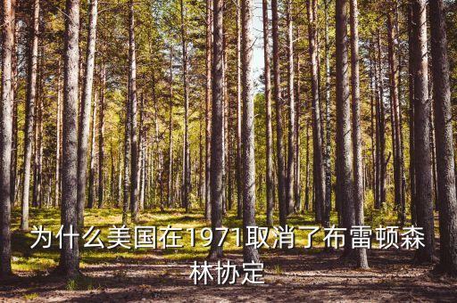 什么取代了布雷頓森林體系，布雷頓森林體系的產(chǎn)生說明了