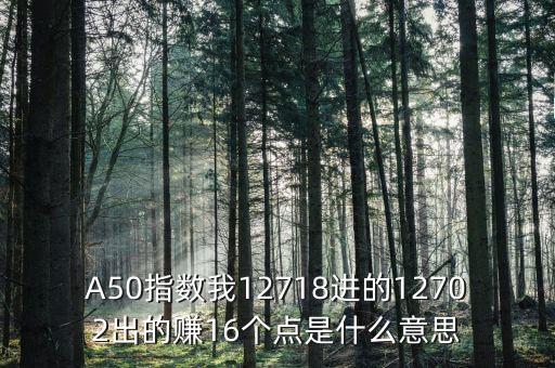 a50指數(shù)1510是什么，A50指數(shù)我12718進(jìn)的12702出的賺16個(gè)點(diǎn)是什么意思