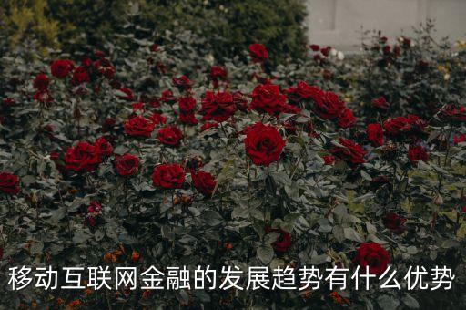 移動金融技術創(chuàng)新應以什么為底線，移動互聯(lián)網金融的發(fā)展趨勢有什么優(yōu)勢