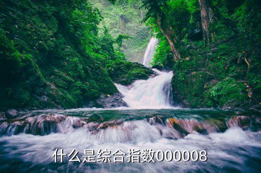 000008之前是什么，什么是綜合指數(shù)000008
