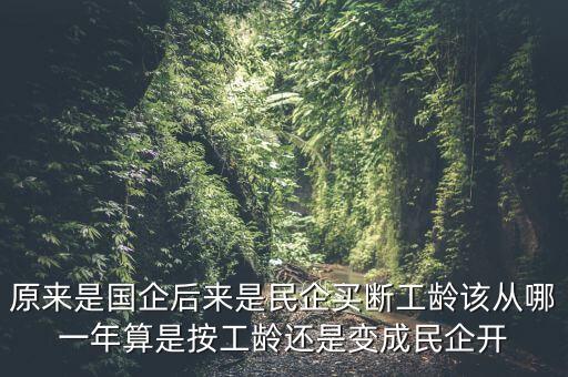 廣西貴糖什么時候變私企，廣西在什么時候開始變得落后起來的原因是