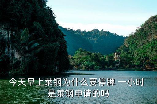 山東鋼鐵為什么停牌，濟(jì)南鋼鐵為什么停牌重組會成功嗎