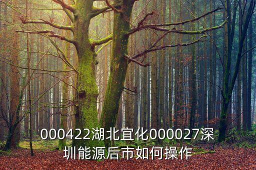 000027之前名什么，000422湖北宜化000027深圳能源后市如何操作