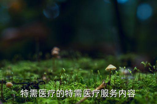 特需醫(yī)療的特需醫(yī)療服務內(nèi)容