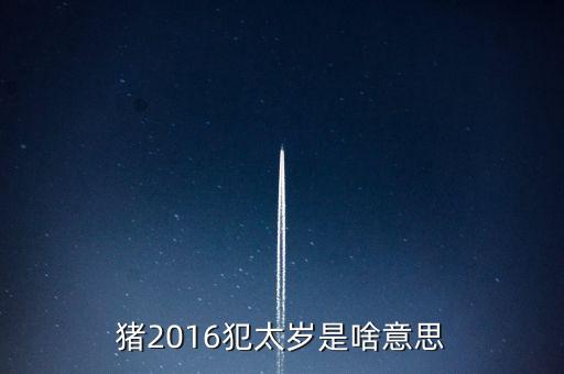 2016年犯什么星辰表，1974年的人在2016年犯太陽(yáng)星嗎