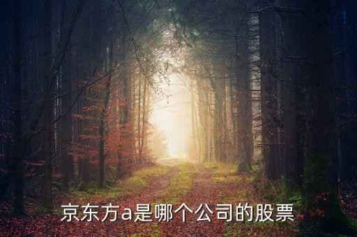 京東方a是什么企業(yè)，京東方A董事長是誰是什么企業(yè)