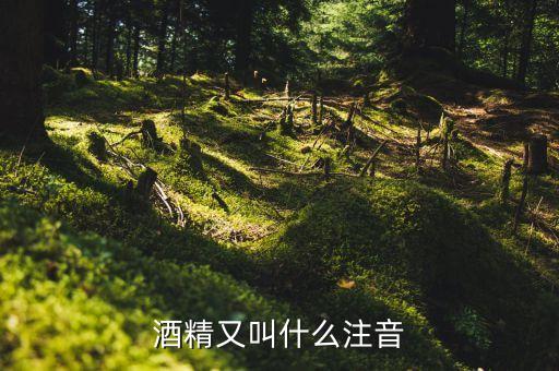 酒經(jīng)酒驚又名什么，酒精又叫什么注音
