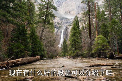 現在有什么好的股票可以介紹下哇
