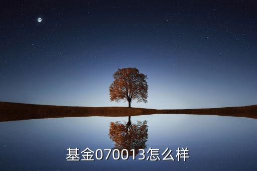 070013基金是什么基金，基金070013前面加of什么意思