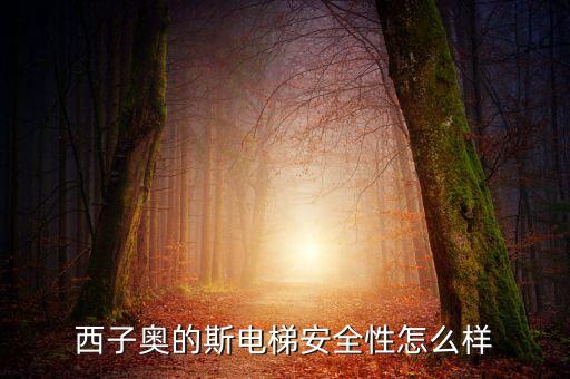 西子奧的斯電梯有什么缺陷，西子奧的斯電梯安全性怎么樣
