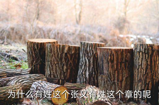 中石油黃炎什么級別，大家知道有誰姓耜