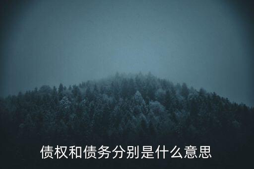 bsp票款債權是什么，銀行理財業(yè)務里面的liborbsp是什么意思