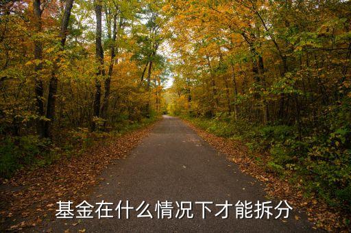 165523基金什么時(shí)候下拆了，基金在什么情況下才能拆分