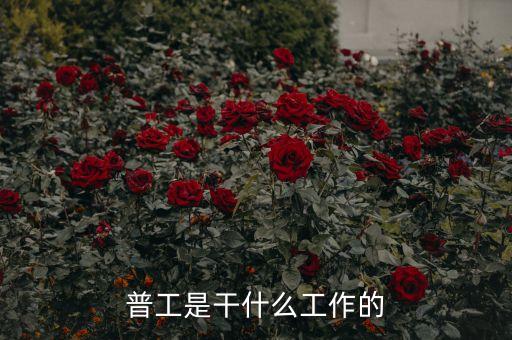 st工新做什么的，STM操作工是做什么的