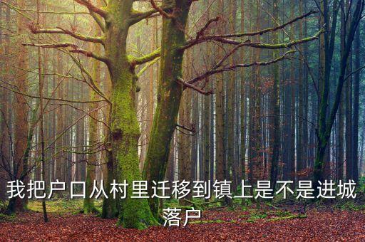 進(jìn)城落戶是什么意思，進(jìn)城務(wù)工人員隨遷子女是什么意思