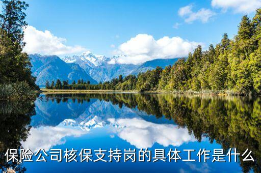 保險(xiǎn)公司核保運(yùn)營(yíng)崗需要做些什么，保險(xiǎn)公司核保支持崗的具體工作是什么