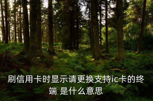 刷信用卡時(shí)顯示請更換支持ic卡的終端 是什么意思