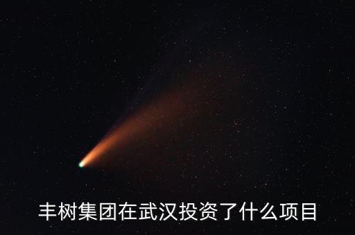 豐樹集團(tuán)開發(fā)的項(xiàng)目是什么，豐樹集團(tuán)在武漢投資了什么項(xiàng)目